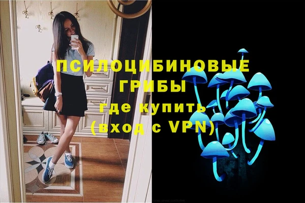a pvp Алексин