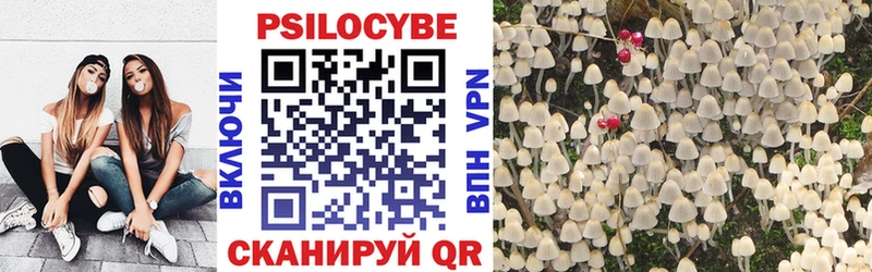 Галлюциногенные грибы Psilocybe Нижняя Салда